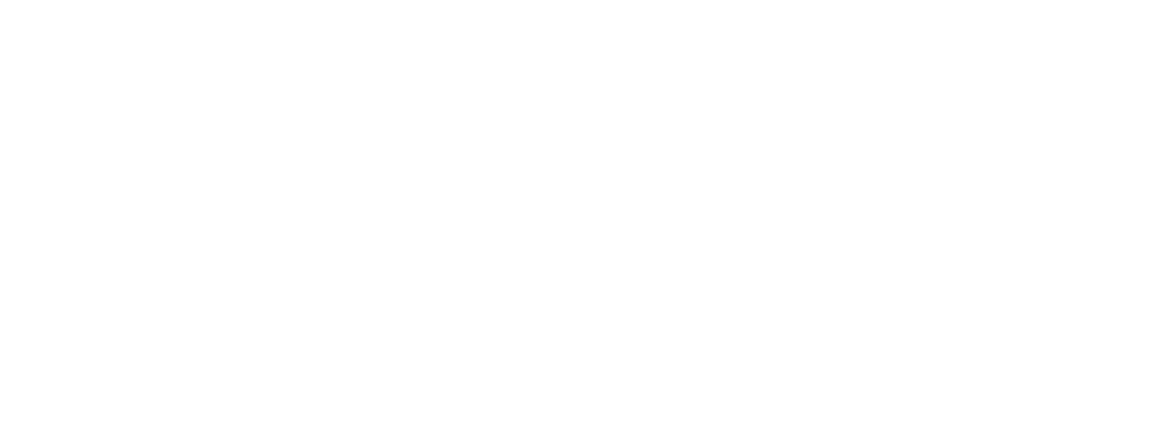 beyondDIGI